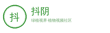 抖阴